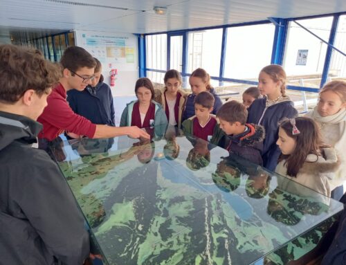 Visites d’avril pour les 5e et les 3e